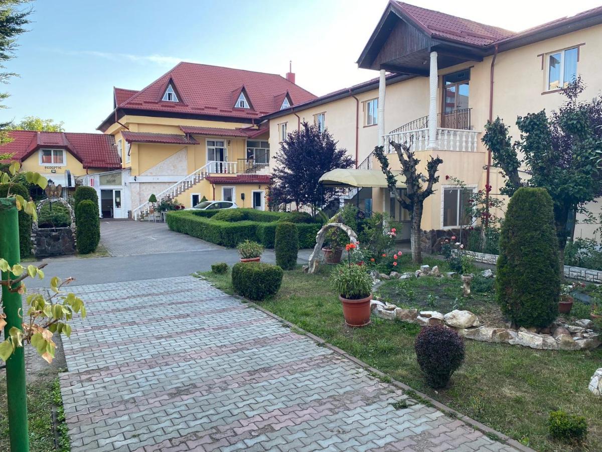 Pensiunea Viena Târgu-Mureş Exteriér fotografie