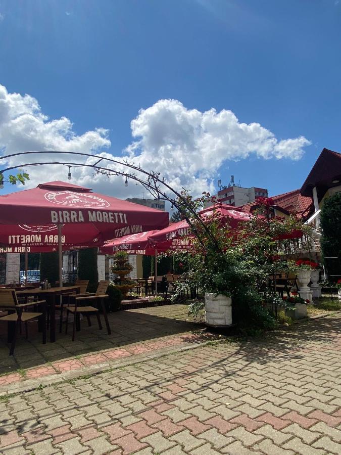 Pensiunea Viena Târgu-Mureş Exteriér fotografie